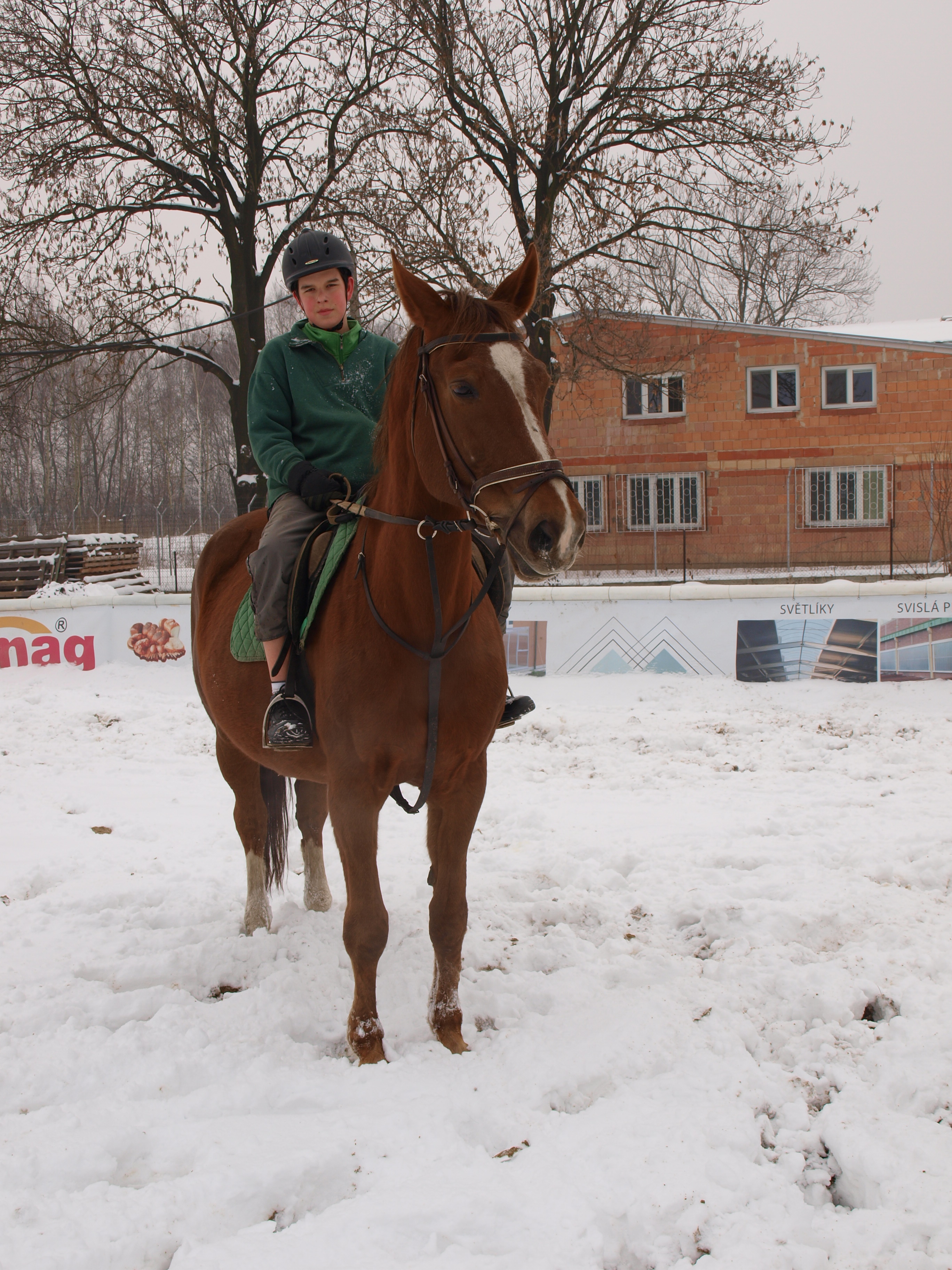 P1010424.JPG